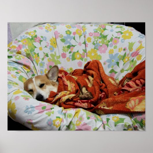 Comfy Corgi Poster (Vorne)