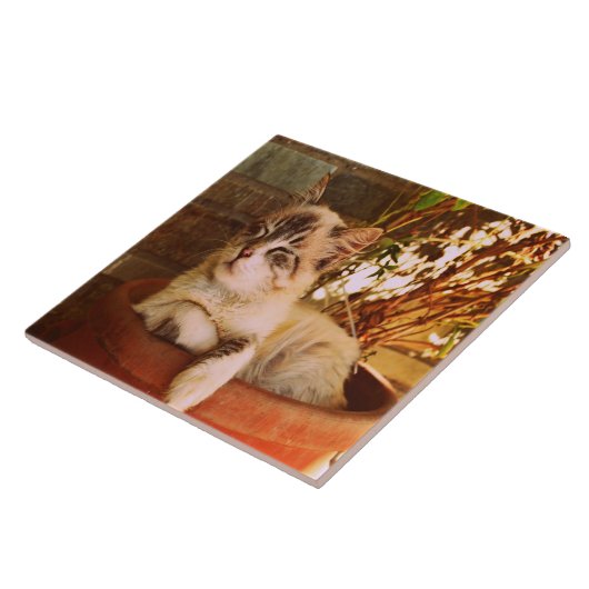 Comfy Sleepy Kitty Fliese (Seite)