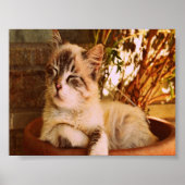 Comfy Sleepy Kitty Poster (Vorne)