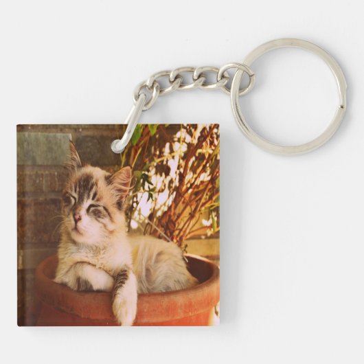 Comfy Sleepy Kitty Schlüsselanhänger (Rückseite)