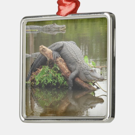 Comfy Swamp Gator Ornament (Links)