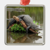 Comfy Swamp Gator Ornament Aus Metall (Vorne)