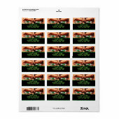 Comic Book Eyes Address Labels Adressaufkleber (Vorne)