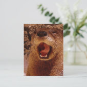 Comic Otter ~ Foto Art Postkarte (Stehend Vorderseite)