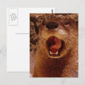 Comic Otter ~ Foto Art Postkarte (Vorne/Hinten)