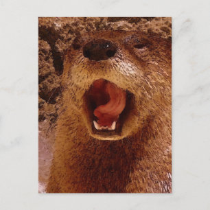 Comic Otter ~ Foto Art Postkarte