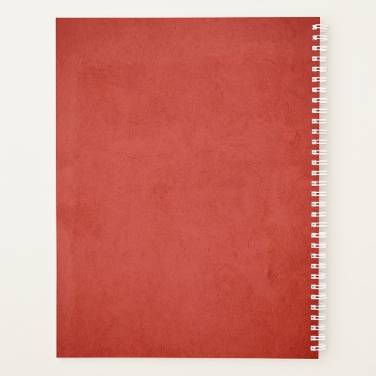 Comic-Rock Planer (Rückseite)