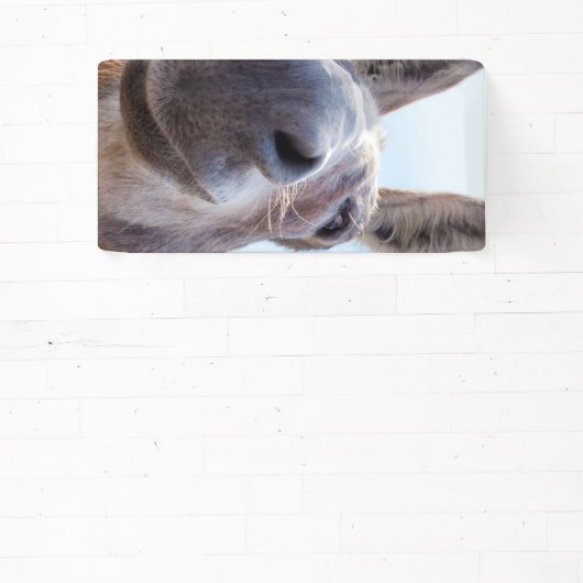 Comical Gray Smiling Donkey Banner (InSitu)