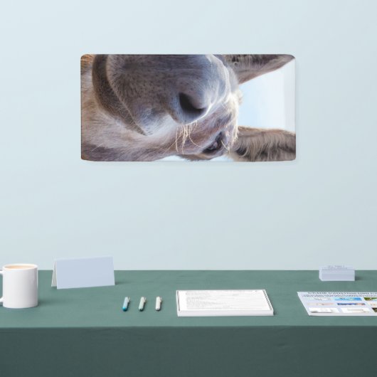 Comical Gray Smiling Donkey Banner (Messe)