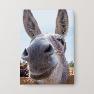 Comical Gray Smiling Donkey Button
