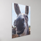 Comical Gray Smiling Donkey Foliendrucke (Ablage )