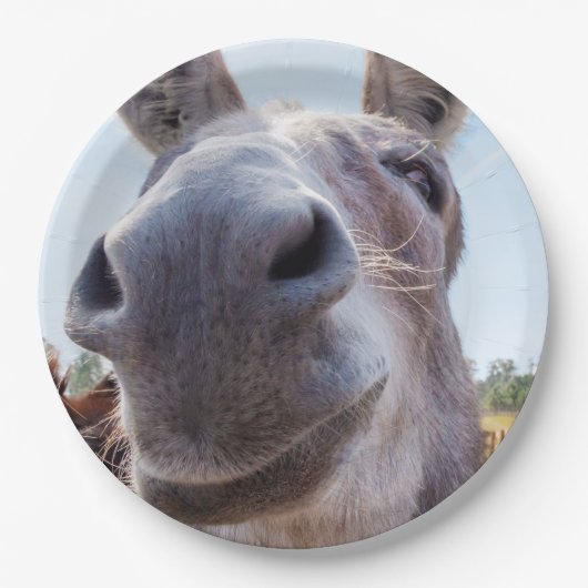 Comical Gray Smiling Donkey Pappteller (Vorderseite)