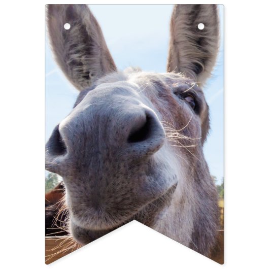 Comical Gray Smiling Donkey Wimpelkette (Zweite Fahne)