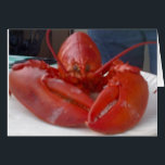 COMICAL LOBSTER JOKES BUT SAYS "HAPPY BIRTHDAY"<br><div class="desc">THIS POOR GUY HAD "ONE THING" ON HIS MIND AND THAT WAS TO WISH YOUR FRIEND OR FAMILY MEMBER A **HAPPY BIRTHDAY*!!!!! WE REALLY DID ENJOY HIM THOUGH. THANKS FOR STOPPING BY ONE OF MY EIGHT STORES!!!</div>
