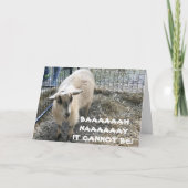 COMICAL SHEEP WUSSTE NICHT, DASS WIR "SO ALT" WARE KARTE (Vorderseite)