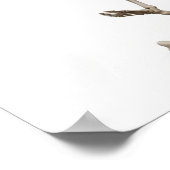 Comical Skeleton Graphic Poster (Ecke)