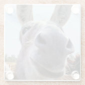 Comical Smiling Gray Donkey Glasuntersetzer (Rückseite)