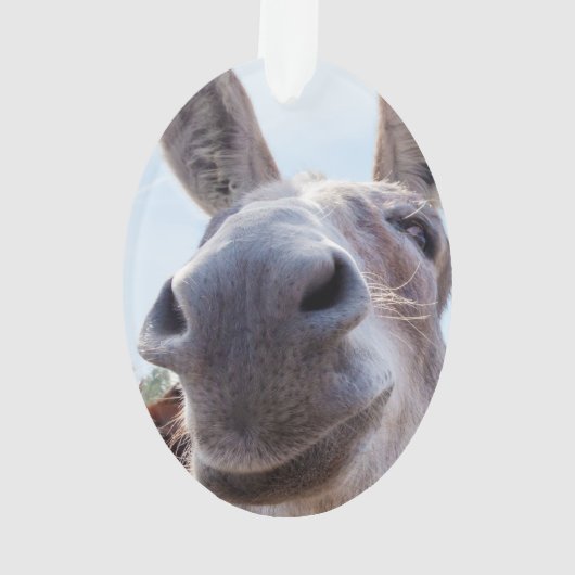 Comical Smiling Gray Donkey Ornament (Rückseite)