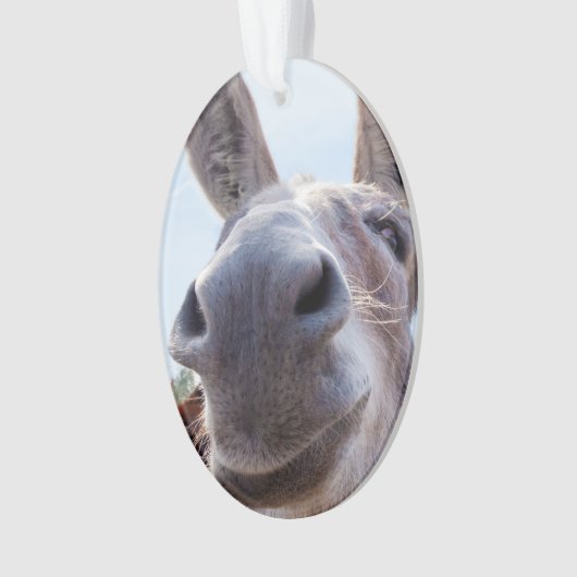 Comical Smiling Gray Donkey Ornament (Vorderseite)