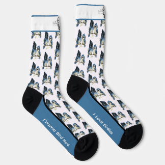 Comical Steller's Jay Bird Socks Socken