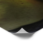 Comice Pears Poster (Ecke)