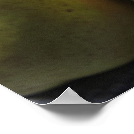 Comice Pears Poster (Ecke)