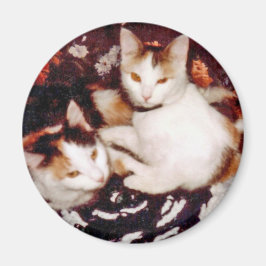 Comite Cats Magnet