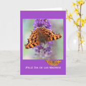 Comma butterflies Muttersprache Spanisch Karte (Gelbe Blume)