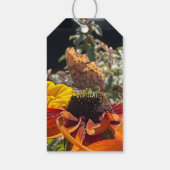 Comma Butterfly auf einer Rudbeckia-Blume Geschenkanhänger (Rückseite)