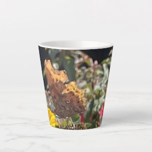 Comma Butterfly auf einer Rudbeckia Blume Latte Ta Milchtasse