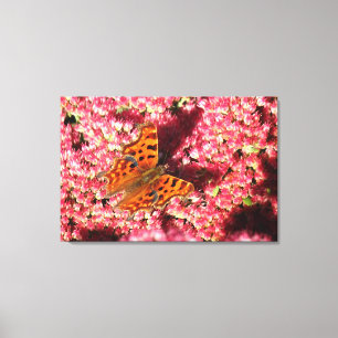 Comma Butterfly auf See Leinwanddruck