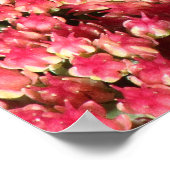 Comma Butterfly auf See Poster (Ecke)