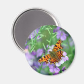 Comma Butterfly Magnet (Vorderseite/Rückseite)
