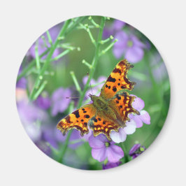 Comma Butterfly Magnet