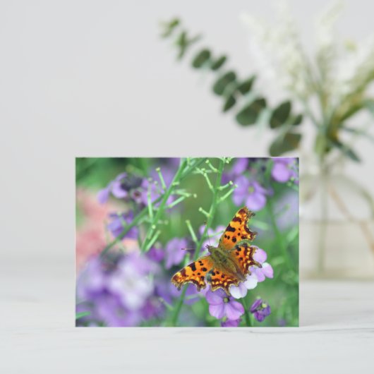 Comma Butterfly Postkarte (Stehend Vorderseite)