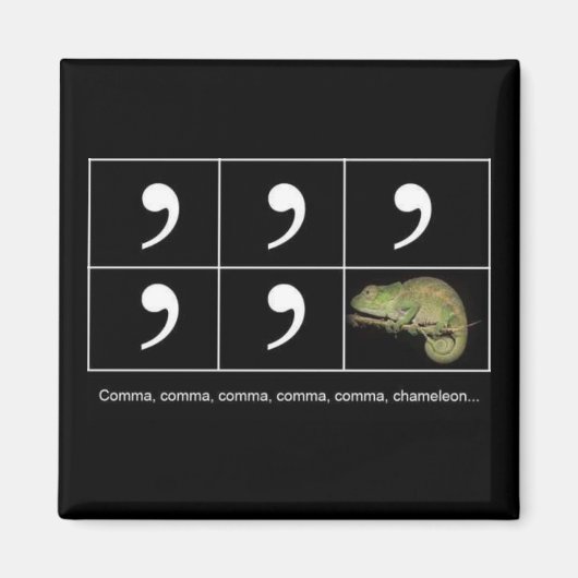 Comma Chameleon Magnet (Vorne)