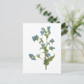 commelina (Commelina tuberosa) durch Redouté Postkarte (Stehend Vorderseite)