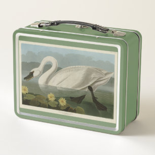 Common American Swan - Audubon's Birds of America Metall Brotdose