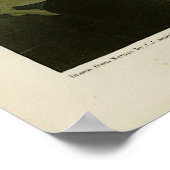 Common American Swan - Audubon's Birds of America Poster (Ecke)