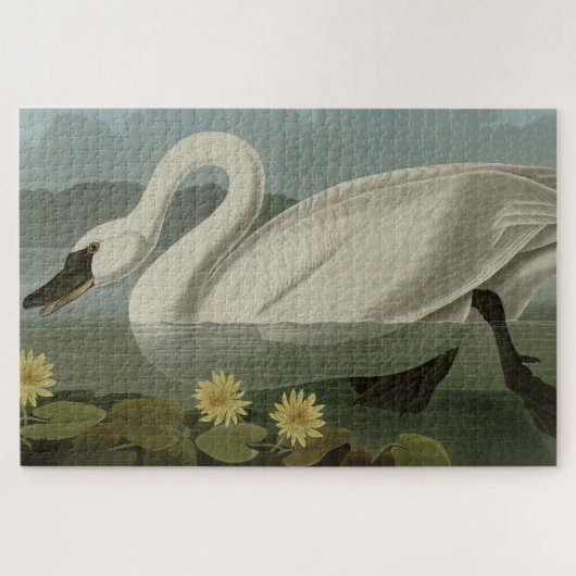 Common American Swan - Audubon's Birds of America Puzzle (Horizontal)