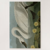 Common American Swan - Audubon's Birds of America Puzzle (Vertikal)