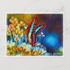 Common Bluebottle ポストカード Postkarte