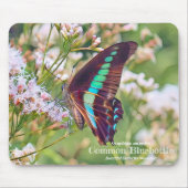 Common Bluebottle Mousepad (Vorne)