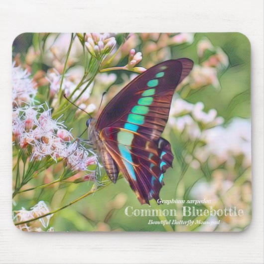 Common Bluebottle Mousepad (Vorne)