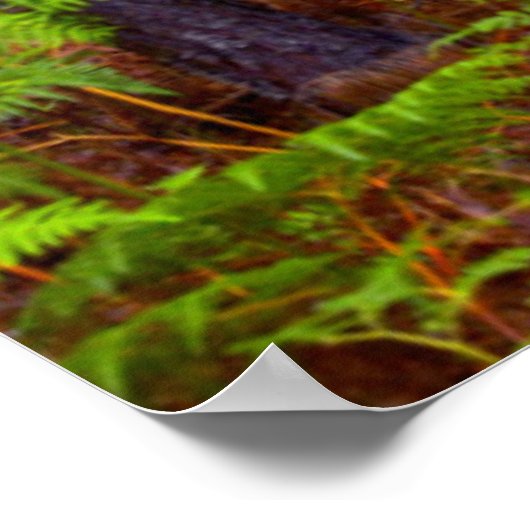 Common Bracken (Pteridium Aquilinum) Poster (Ecke)