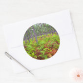 Common Bracken (Pteridium Aquilinum) Runder Aufkleber (Umschlag)