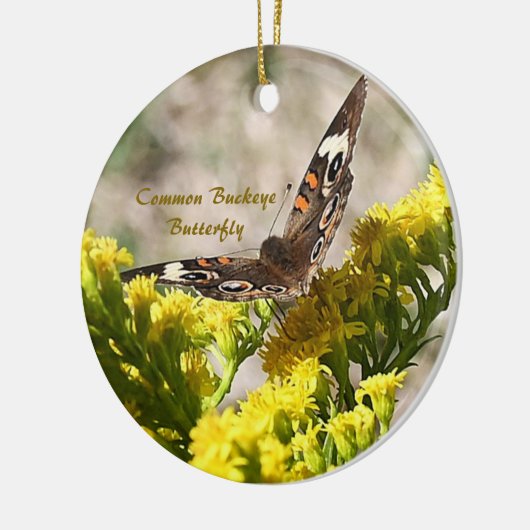 Common Buckey Butterfly Foto Ornament (Links)