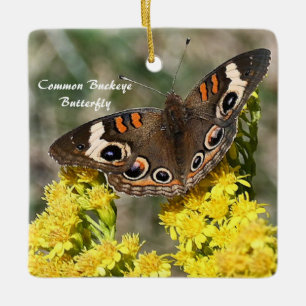 Common Buckey Butterfly Foto Ornament