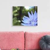 Common Chicory Canvas Print Leinwanddruck (Insitu (Wohnzimmer))