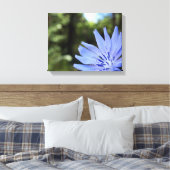 Common Chicory Canvas Print Leinwanddruck (Insitu (Schlafzimmer))